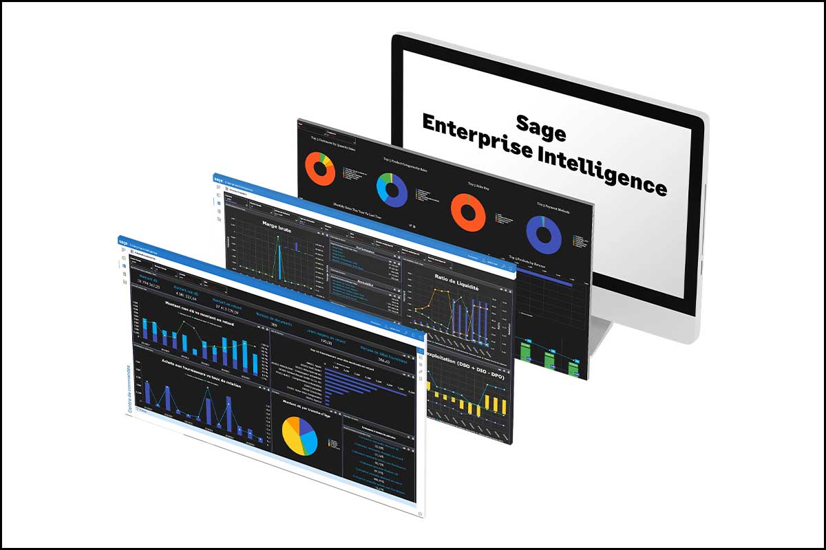 Découvrez comment tirer le meilleur parti de Sage Enterprise Intelligence (SEI) avec notre formation approfondie sur SEI Sage X3. Apprenez à intégrer et optimiser vos processus métier grâce à SEI, en exploitant ses fonctionnalités avancées d'analyse et de reporting. De la configuration initiale à l'optimisation continue, cette formation vous guidera à travers les stratégies pratiques pour maximiser votre intelligence opérationnelle. Idéale pour les professionnels souhaitant accroître l'efficacité et la performance de leur entreprise, notre programme vous permettra de maîtriser SEI Sage X3 et d'en faire un levier essentiel pour la croissance et la gestion efficace des ressources.